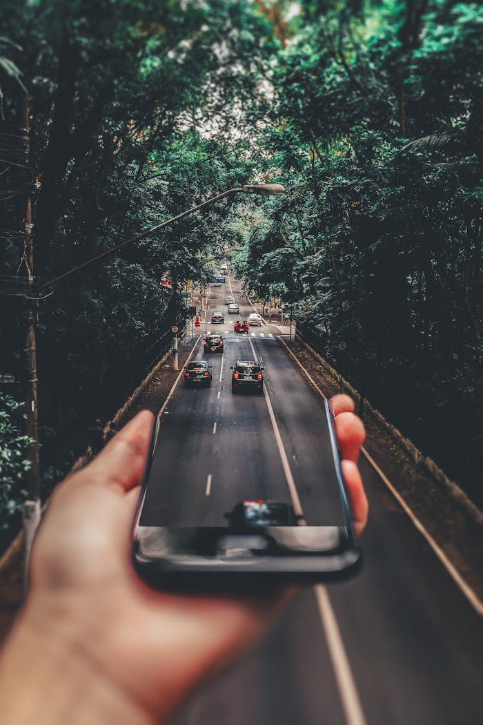 our-story Creative blend of technology and nature with smartphone framing a bustling road through forest.