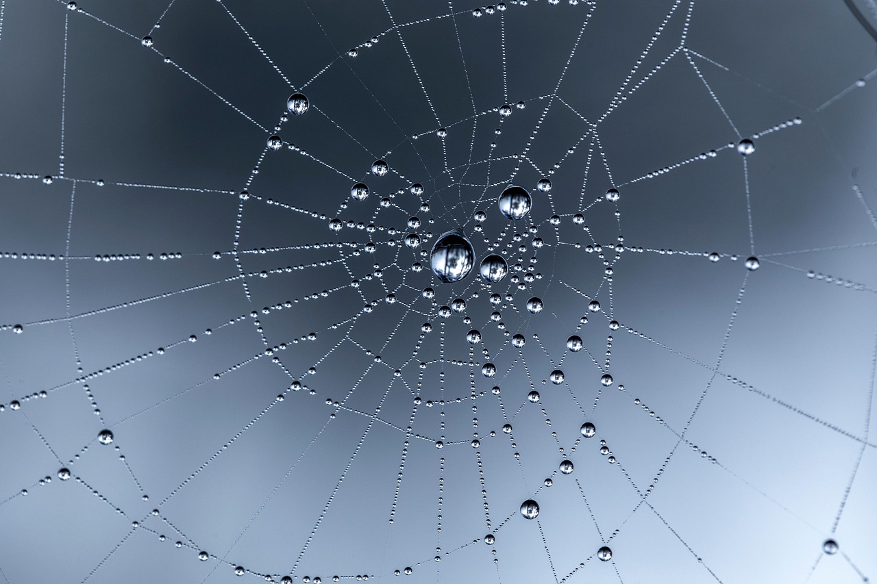 découvrez les meilleurs web frameworks de 2025 pour développer des applications rapides, sécurisées et innovantes. analyse des tendances et outils incontournables.