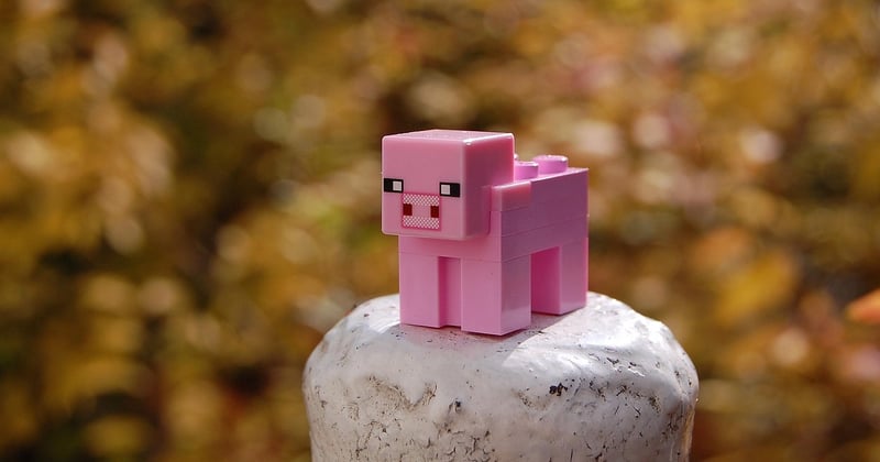 Enchantement densité Minecraft : le guide ultime pour ne plus jamais buguer